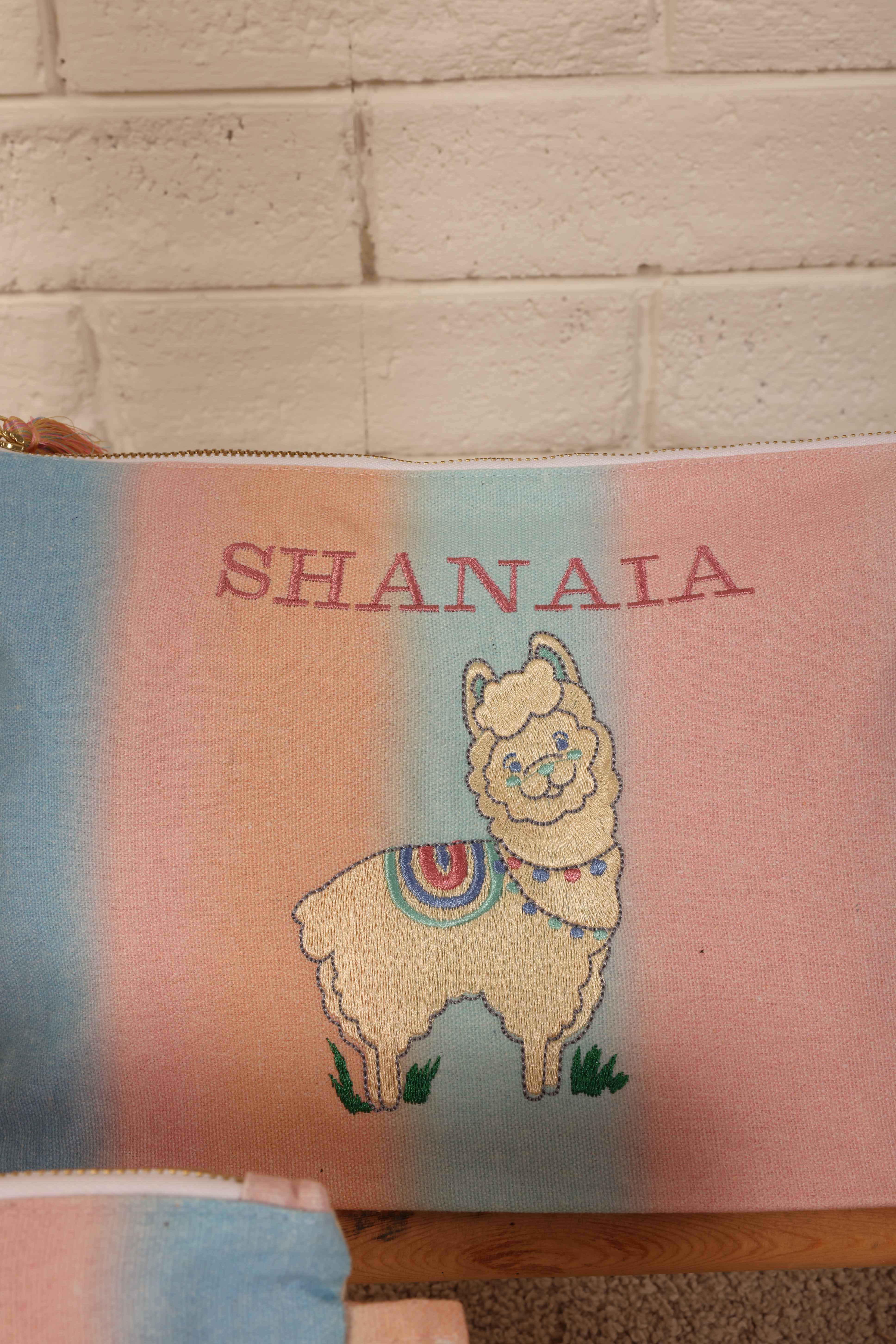 Ooh La Llama Bag & Pouch Bundle